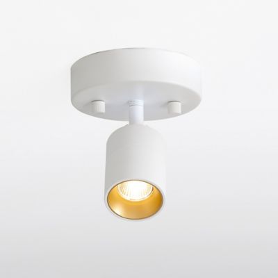 Huxe Ciero LED Wall / Flushmount Light - Color: White