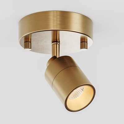 Huxe Ciero LED Wall / Flushmount Light - Color: Brass