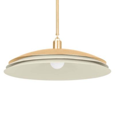 Hudson Valley Lighting Oneida Pendant Light - Color: Gold - Size: 1 light -