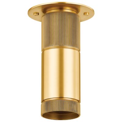 Hudson Valley Lighting Dighton Flushmount Light - Color: Brass - Size: 1 li