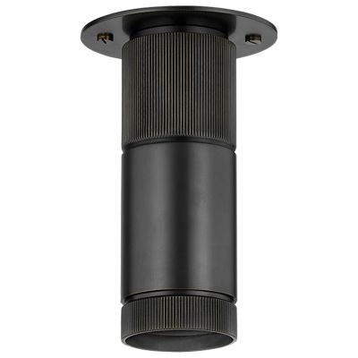 Hudson Valley Lighting Dighton Flushmount Light - Color: Bronze - Size: 1 l