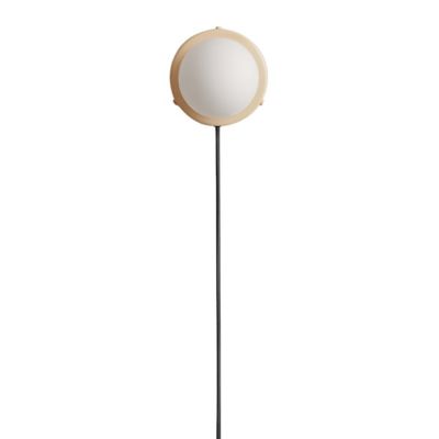 In Common With Orb 4 Surface Wall Sconce in White