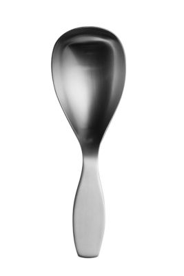 Collective Tools Serving Spoon