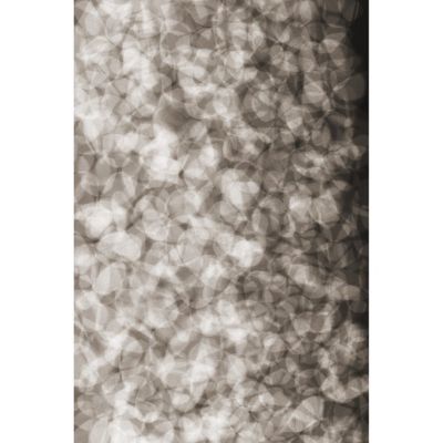 Lying Petals Area Rug - Color: Grey - Size: 9 ft 9 In. x 13 ft - Moooi Carpets SHP210215