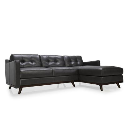 Monika Leather Sectional