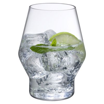 Beak Glass Set of 2