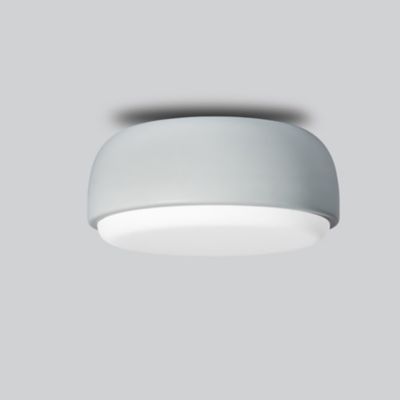 Over Me Wall / Ceiling Flushmount