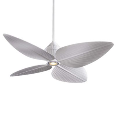 Minka Aire Gauguin Indoor/Outdoor Ceiling Fan with Light - Size: 52 - Co