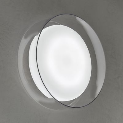 Diver LED Wall Sconce