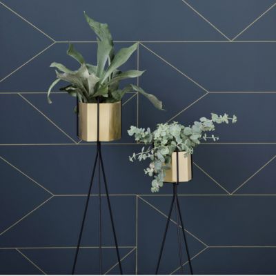 Hexagon Brass Pot and Plant Stand