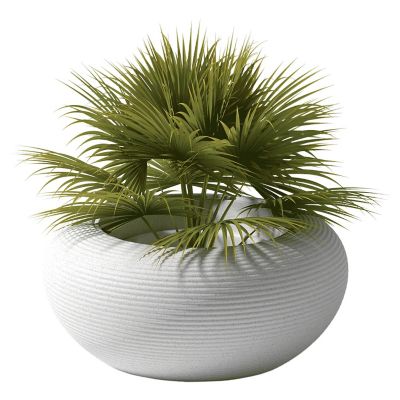 Qeeboo Nami Mix Outdoor Planter - Color: White - 65003WH-M