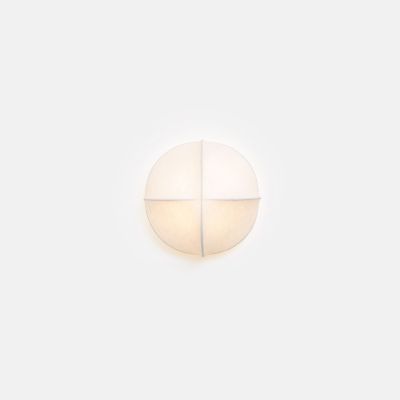 Mori Seed 7 inch LED Wall Sconce