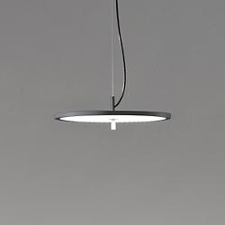 BlancoWhite Ceiling/Up&Down LED Pendant