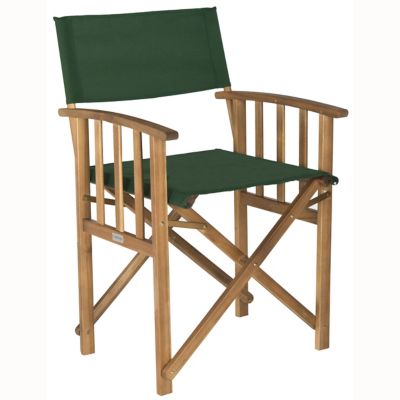 Alder & Ore Acevedo Outdoor Director Arm Chair, Set of 2 - Color: Green