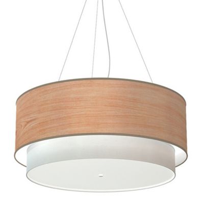 Luther Grande Photo Veneer Pendant