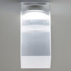 Beetle Cube LED Wall/Ceiling Light