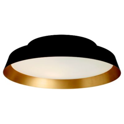 Carpyen Boop Wall/Ceiling Light - Color: Black - Size: 1 light - 7481211U