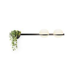 Palma Double Horizontal Wall Sconce with Planter
