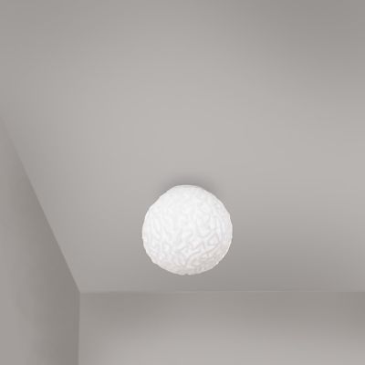 Zaneen Emisfero Wall / Flushmount Light - Color: White - Size: Small - D420