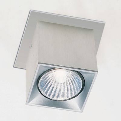 Zaneen Dau Spot Flushmount Light - Color: Silver - Size: 1 light - D92014-B