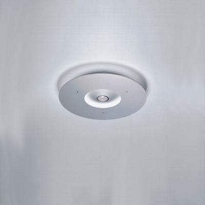 Ixion Ceiling Light with Halogen Down Light