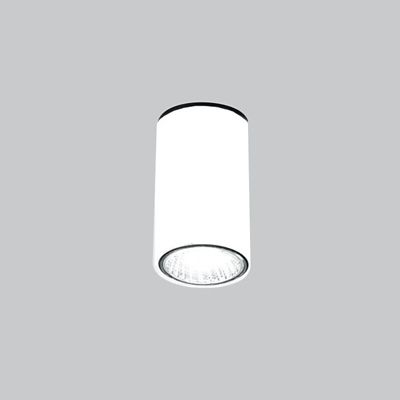 ZANY9154131 Zaneen Kronn LED Flushmount Light - Color: White - sku ZANY9154131