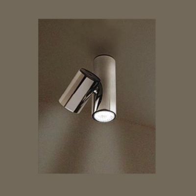 Zaneen Kronn Multi-Spot Flushmount Light - Color: Silver - Size: 2-Light Ch