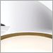 Satin Brass with Matte White