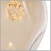 Floret Crystal with Bronze Glass