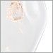 Floret Crystal with Clear Glass
