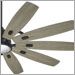 Coal with Seashore Grey Blades