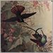 Butterfly 1