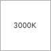 3000