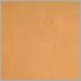 Lacquered Copper