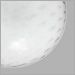 White Bubbles