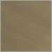 Satin Brass