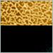 Gold with Dark Base
