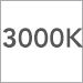 3000