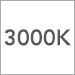 3000
