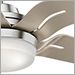 Brushed Nickel with Champagne