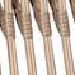 Natural with Cane Line Weave