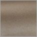 Metallic Bronze