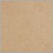 Camel Leather