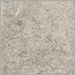 Pewter Champagne