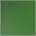 Palm Green