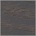Stained Oak