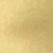 Gold Painted