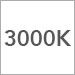 3000