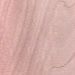 Pale Rose