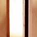 Polished Bronze